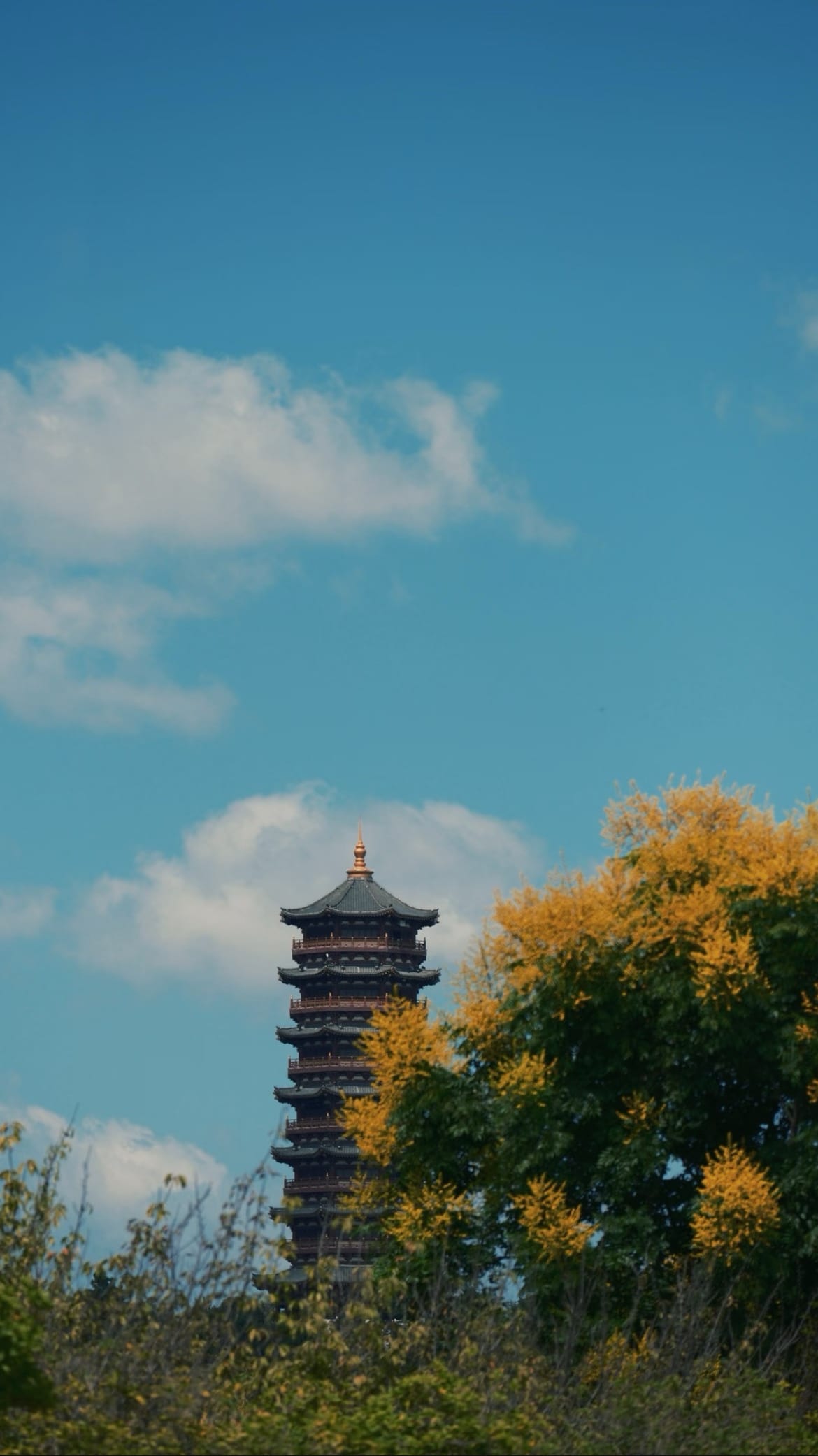 蓝天下的古建筑与秋日树木